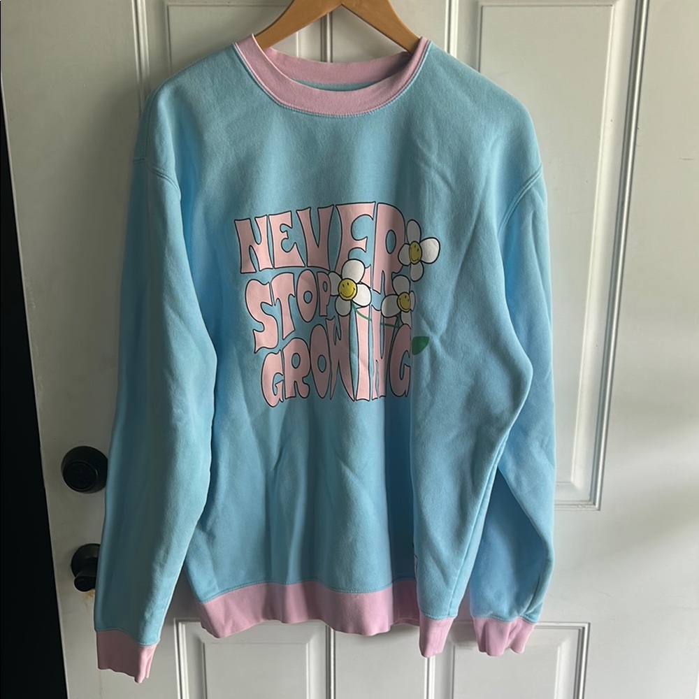 Blue and Pink Graphic Sweatshirt